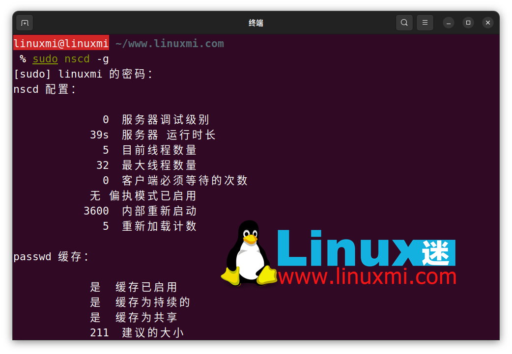 如何在 Linux 上检察和刷新 DNS 缓存