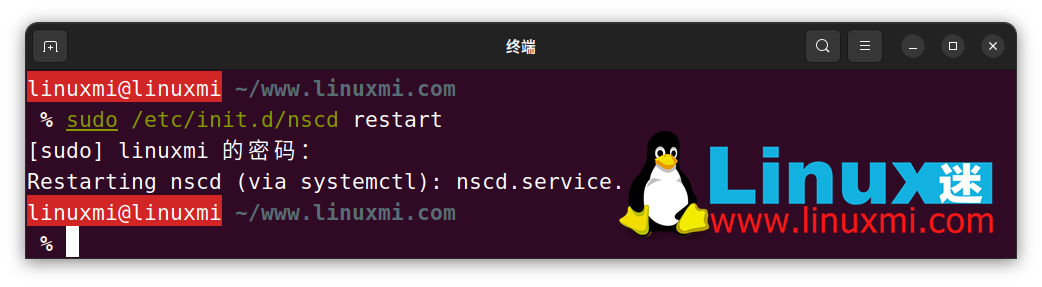 如何在 Linux 上检察和刷新 DNS 缓存